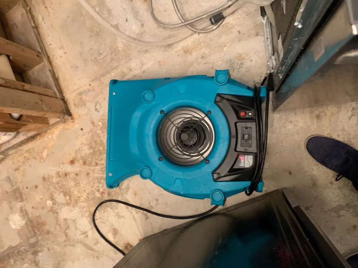 Air mover drying equipment for Mold Remediation & Removal in Brooklyn