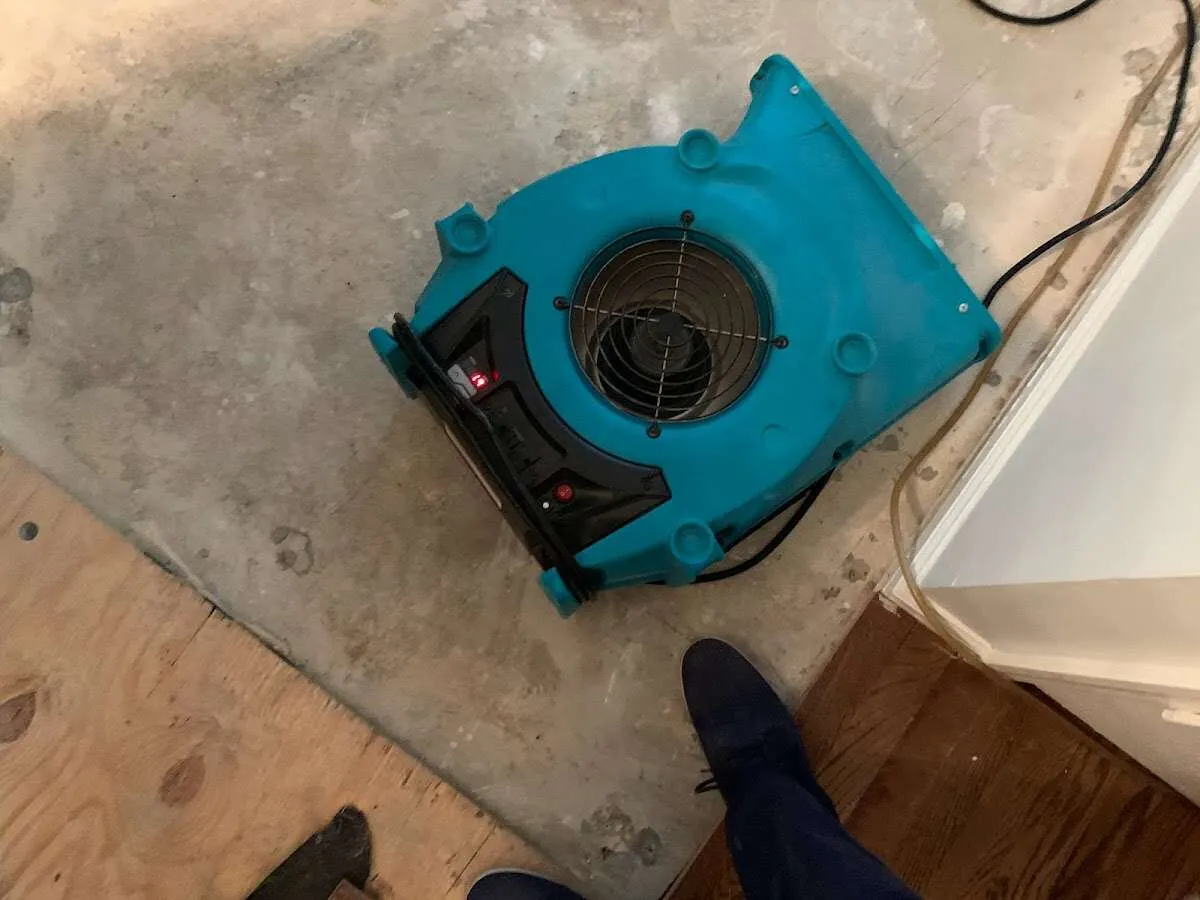 Air mover drying subfloor during Commercial Water Damage Restoration in Brooklyn